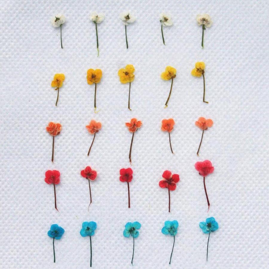 60pcs Mini Pressed Dried Flowe - огляд і ціна Resin Art Baby