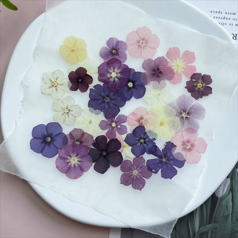 12pcs,Semi-Transparent Niche P - огляд і ціна Resin Art Baby