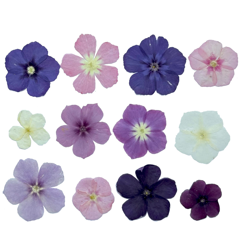 12pcs,Semi-Transparent Niche P - огляд і ціна Resin Art Baby